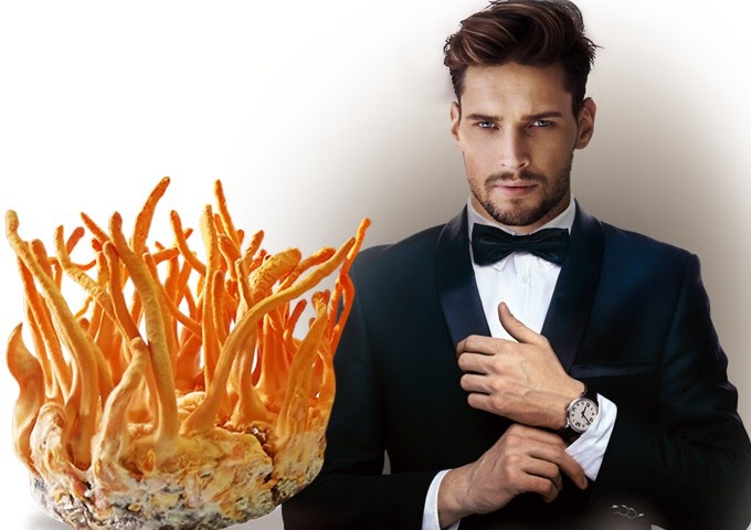 Tác Dụng Của Đông Trùng Hạ Thảo Với Nam Giới