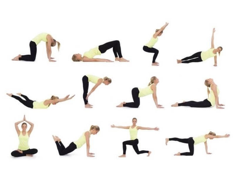 Các tư thế Hatha yoga được chuyên gia lựa chọn cho người mới tập
