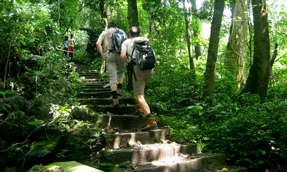 hiking at cuc phuong national park